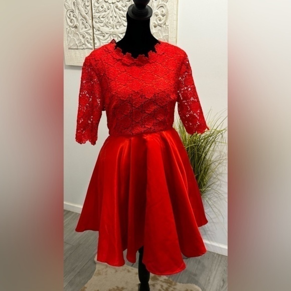Red Lace and Satin Dress - Picture 3 of 12